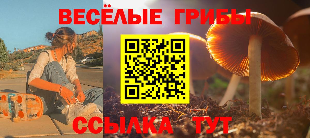 Галлюциногенные грибы Cubensis Батайск