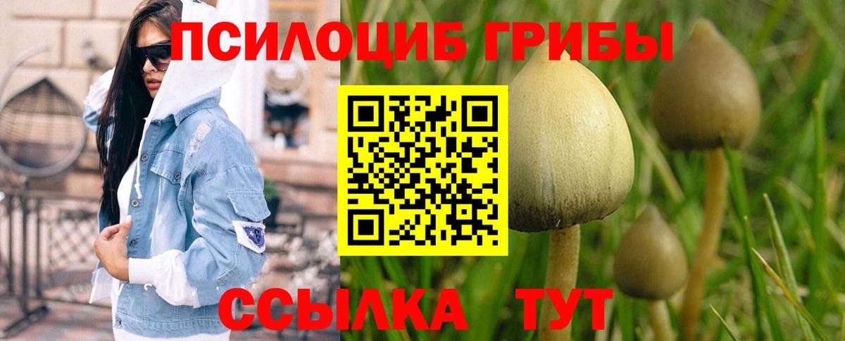 Батайск  Галлюциногенные грибы Psilocybine cubensis  Вход с VPN  Псилоцибиновые грибы ЛСД 